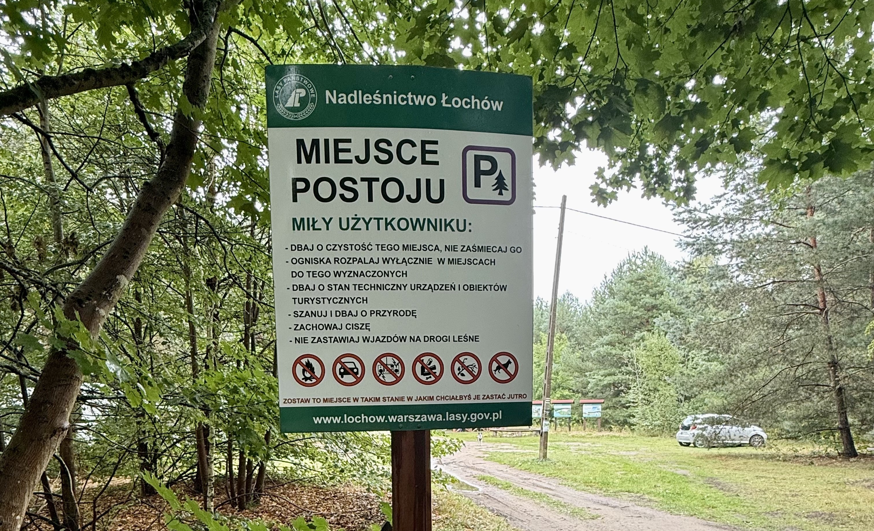 postoj-w-lesie